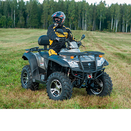 Ремонт бензиновой техники